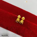 IMG_20260314_205649.webp