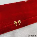 IMG_20260302_164026.webp