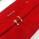IMG_20260422_202448.webp
