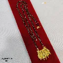 IMG_20260317_114711.webp