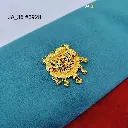 IMG_20260526_161550.webp