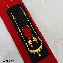 IMG_20260314_143755.webp