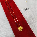 IMG_20260408_130321.webp