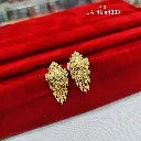 IMG_20260817_102133.webp