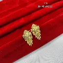 IMG_20260817_102118.webp