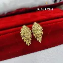 IMG_20260817_102217.webp