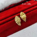 IMG_20260817_102251.webp