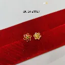 IMG_20260415_185738.webp