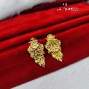 IMG_20260817_102656.webp