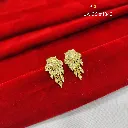 IMG_20260817_103330.webp