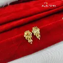IMG_20260817_103535.webp