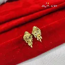 IMG_20260817_104028.webp