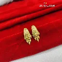 IMG_20260817_104151.webp
