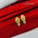 IMG_20260817_104417.webp