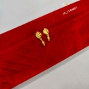 1 Gram Gold Plated Designer Earrings DN-4807