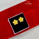 1 Gram Gold-Plated  Stud Earrings DN-5024