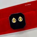 1 Gram Gold-Plated Stud Earrings DN-5023